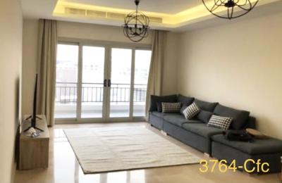 2 Bedroom apartment in CFC